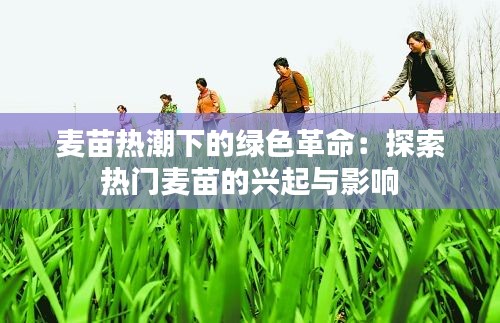 麦苗热潮下的绿色革命：探索热门麦苗的兴起与影响