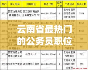 云南省最热门的公务员职位揭秘：竞争激烈背后的原因与机遇