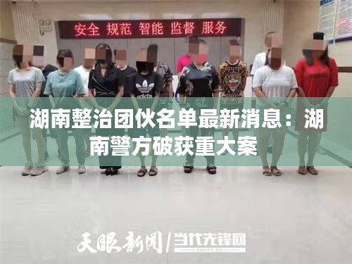 湖南整治团伙名单最新消息：湖南警方破获重大案 