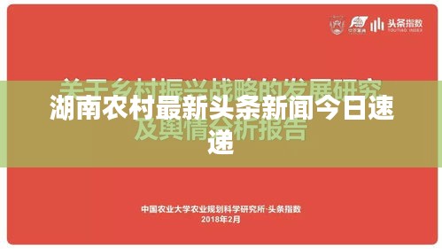 湖南农村最新头条新闻今日速递