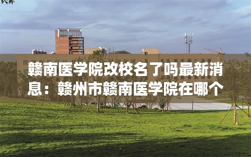 夯雀儿先飞 第3页
