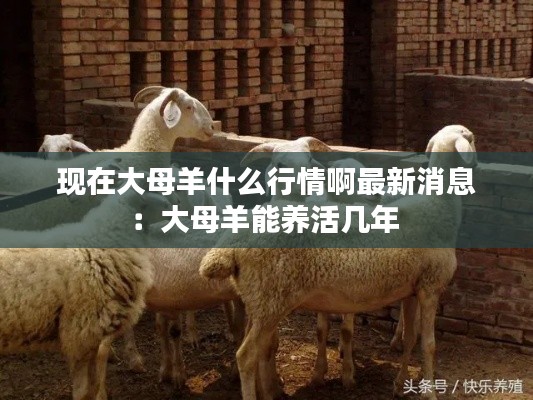 草草收兵 第3页