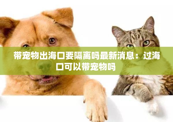 带宠物出海口要隔离吗最新消息：过海口可以带宠物吗 
