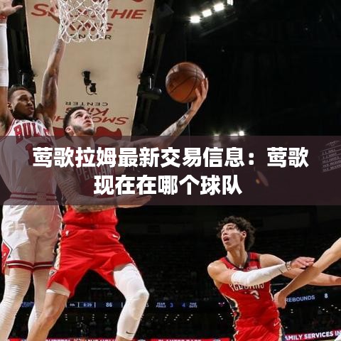 飞扬拨扈 第2页