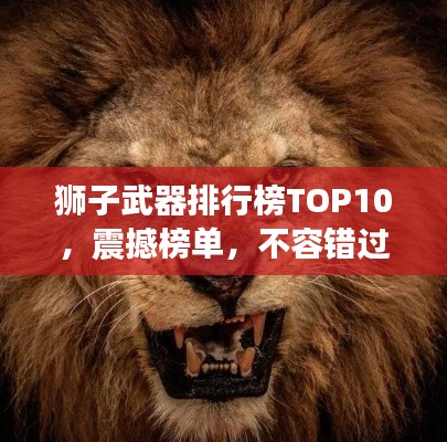 狮子武器排行榜TOP10，震撼榜单，不容错过！