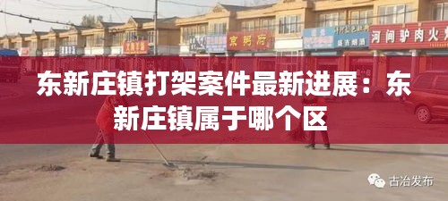 东新庄镇打架案件最新进展：东新庄镇属于哪个区 