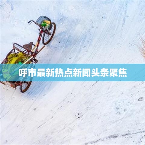 罗含梦鸟 第3页