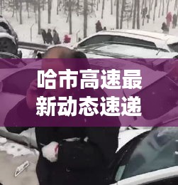 哈市高速最新动态速递