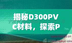 指手画脚 第2页
