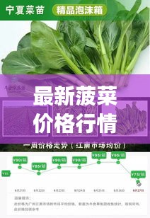 一石二鸟 第2页