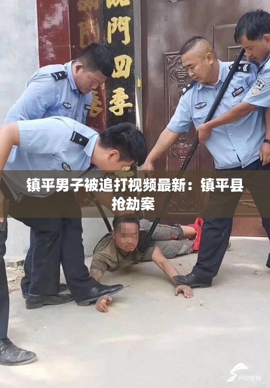 镇平男子被追打视频最新：镇平县抢劫案 