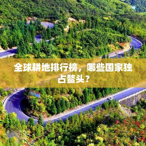 全球耕地排行榜，哪些国家独占鳌头？