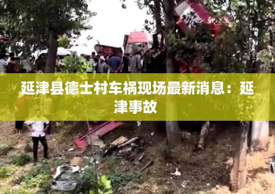 延津县德士村车祸现场最新消息：延津事故 