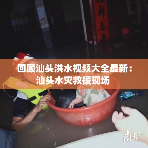 鸟面鹄形 第2页
