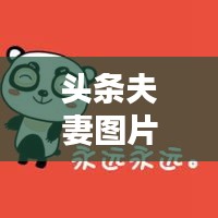 头条夫妻图片素材大全最新：头条头像照片 
