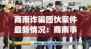 商南诈骗团伙案件最新情况：商南事件 