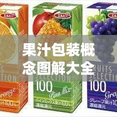 果汁包装概念图解大全最新：果汁产品包装 
