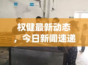 权健最新动态，今日新闻速递