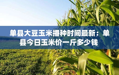 单县大豆玉米播种时间最新：单县今日玉米价一斤多少钱 