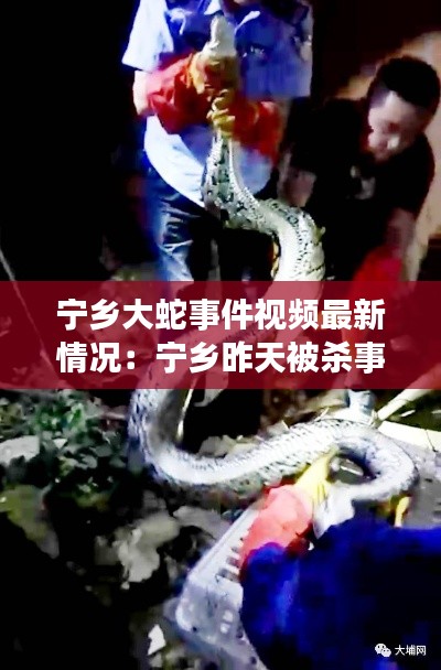 宁乡大蛇事件视频最新情况：宁乡昨天被杀事件 