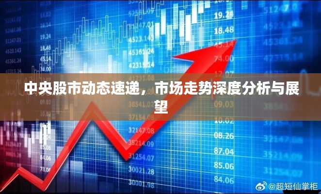 中央股市动态速递，市场走势深度分析与展望