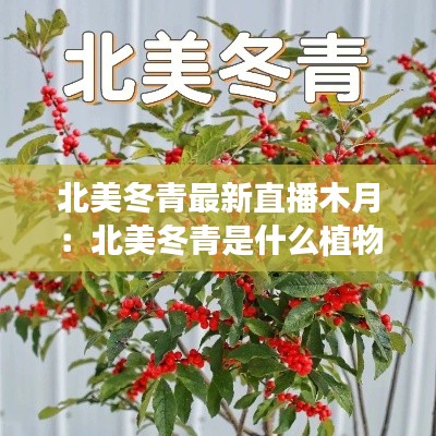 花成蜜就 第2页