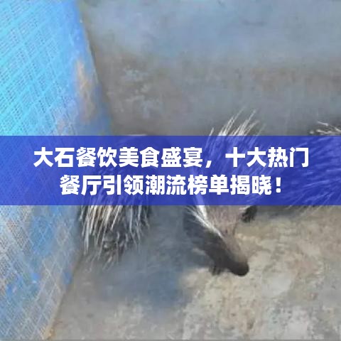 大石餐饮美食盛宴，十大热门餐厅引领潮流榜单揭晓！