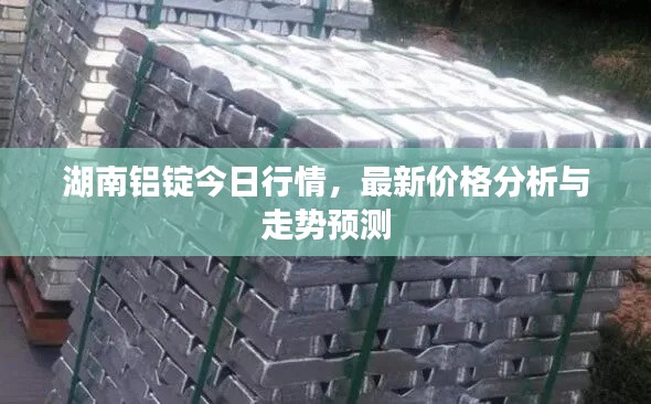 湖南铝锭今日行情，最新价格分析与走势预测