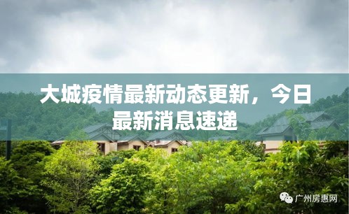 大城疫情最新动态更新，今日最新消息速递