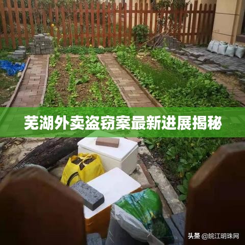 芜湖外卖盗窃案最新进展揭秘