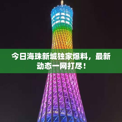 今日海珠新城独家爆料，最新动态一网打尽！