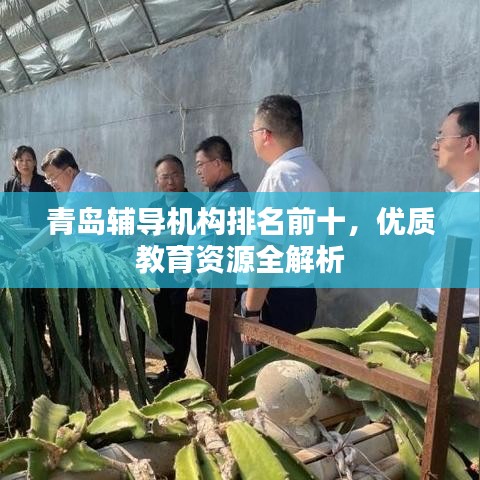 青岛辅导机构排名前十，优质教育资源全解析