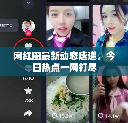 网红圈最新动态速递，今日热点一网打尽