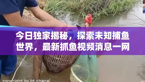 今日独家揭秘，探索未知捕鱼世界，最新抓鱼视频消息一网打尽！