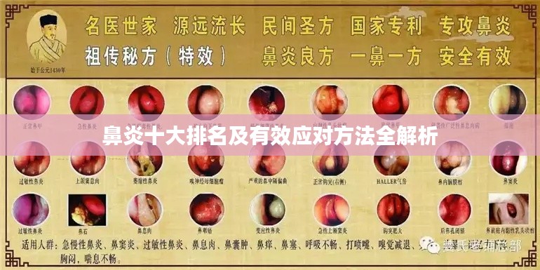 择善而从 第2页