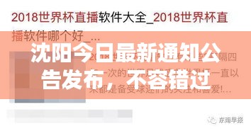 沈阳今日最新通知公告发布，不容错过！