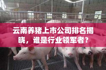 云南养猪上市公司排名揭晓，谁是行业领军者？