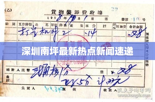深圳南坪最新热点新闻速递