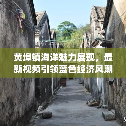 黄埠镇海洋魅力展现，最新视频引领蓝色经济风潮