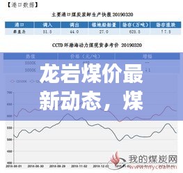 龙岩煤价最新动态，煤炭市场趋势解析及实时价格查询