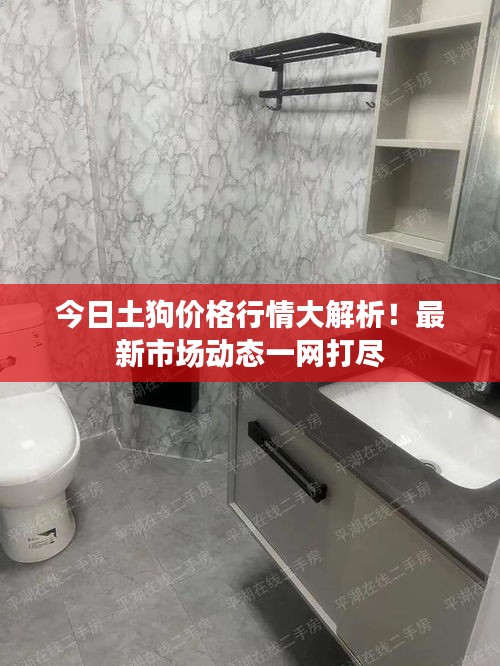 今日土狗价格行情大解析！最新市场动态一网打尽