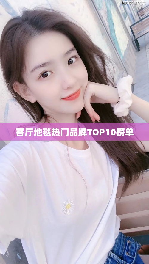 客厅地毯热门品牌TOP10榜单