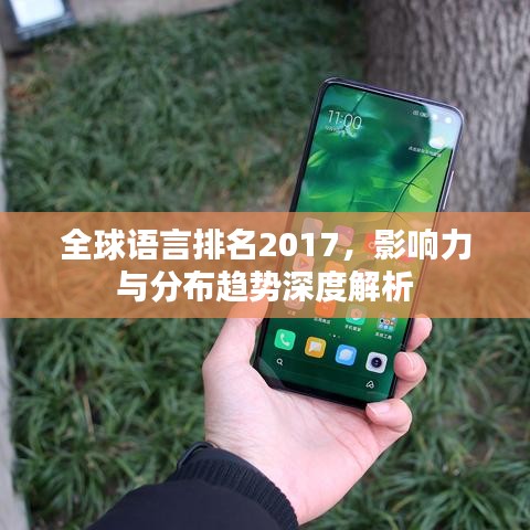 全球语言排名2017，影响力与分布趋势深度解析