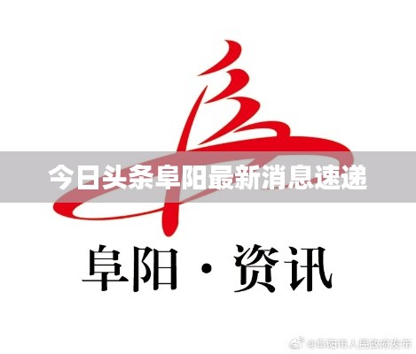 今日头条阜阳最新消息速递