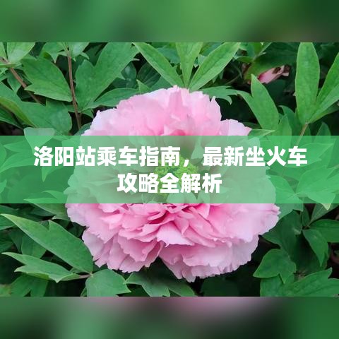 洛阳站乘车指南，最新坐火车攻略全解析