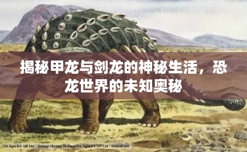 揭秘甲龙与剑龙的神秘生活，恐龙世界的未知奥秘