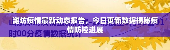 潍坊疫情最新动态报告，今日更新数据揭秘疫情防控进展