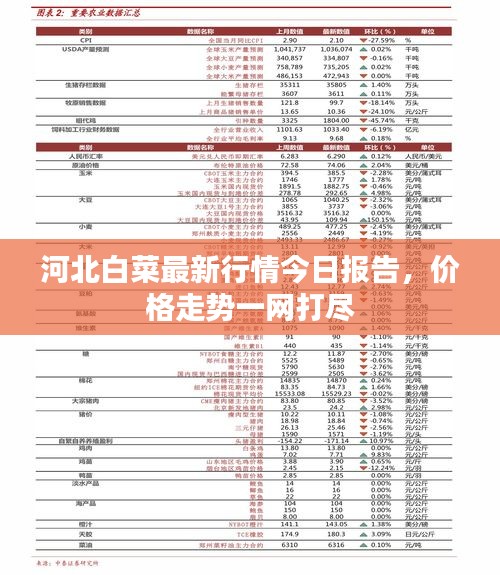 河北白菜最新行情今日报告，价格走势一网打尽