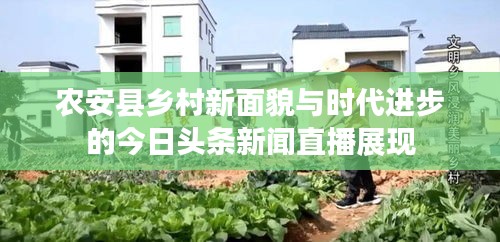 农安县乡村新面貌与时代进步的今日头条新闻直播展现