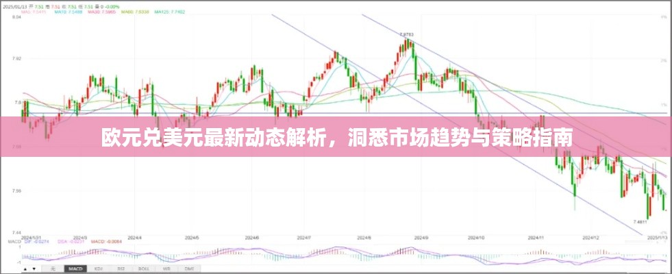 欧元兑美元最新动态解析，洞悉市场趋势与策略指南